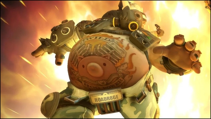 Overwatch 2 Character Roadhog