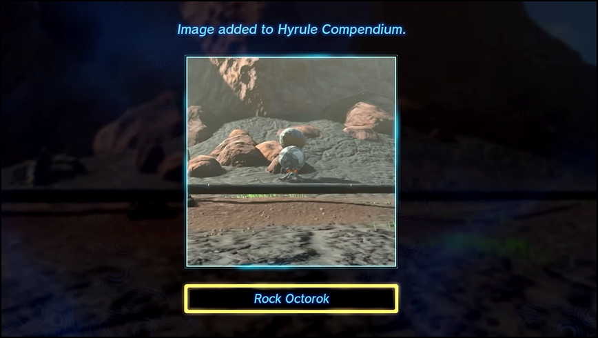 Image of a Rock Octorok in The Legend of Zelda: Tears of the Kingdom (TOTK)